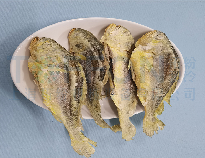 黃花魚凍干，食品凍干機(jī)應(yīng)用于黃花魚真空冷凍干燥