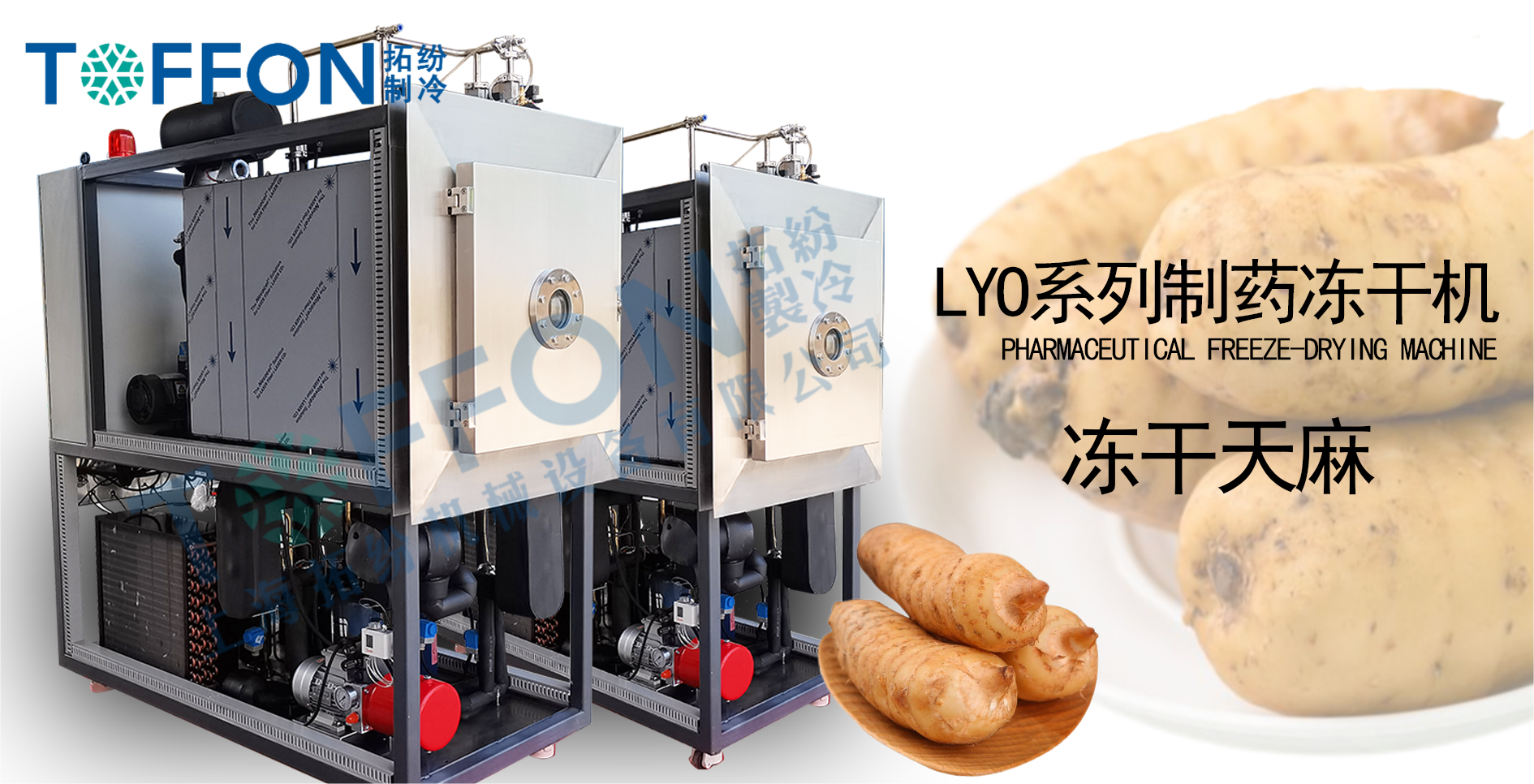 冷凍干燥機在保健品天麻領域的應用